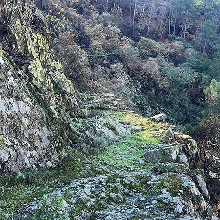 Lägenhet El Mirador De Hurdes